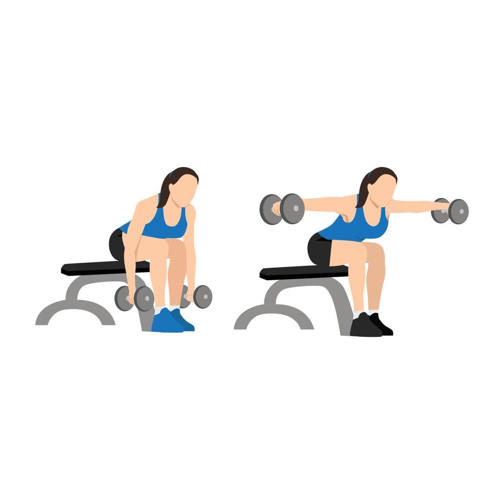 Woman doing Dumbbell bent over reverse flyes. Flat vector illustration isolated on white background