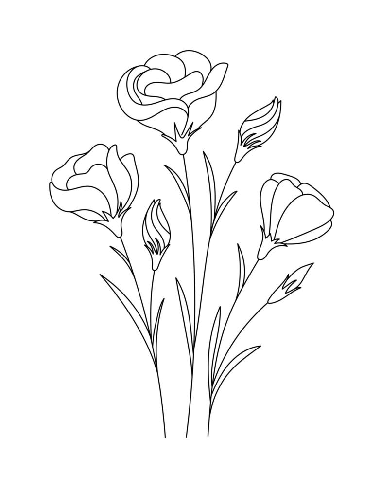 Eustoma flower drawings. Black and white with line art. Hand Drawn Botanical Illustration vector