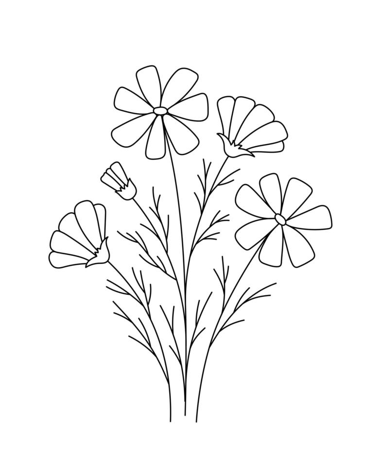 Cosmos flower drawings. Black and white with line art vector