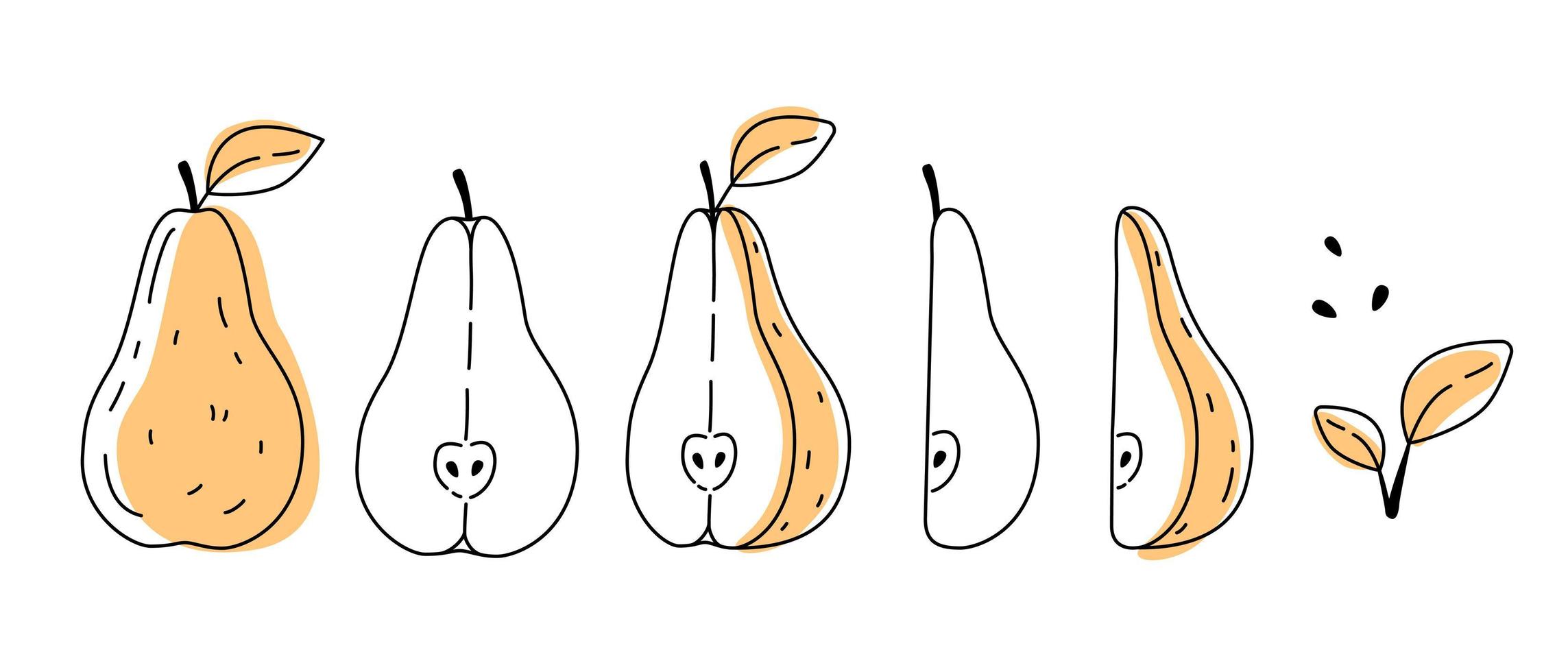 Yellow doodle pear outline with spots. Whole, pieces, seeds and leaves. vector