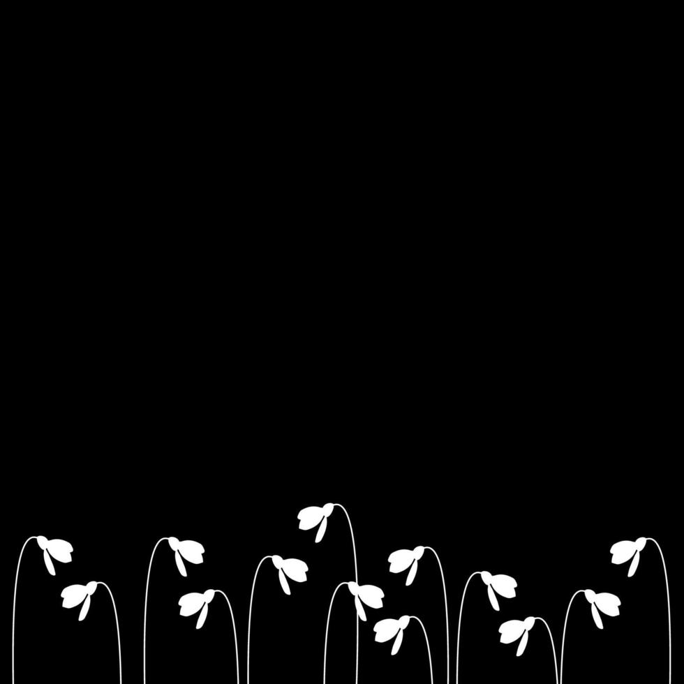 Black background with silhouettes of white snowdrops, flat vector, spring background, spring is coming vector