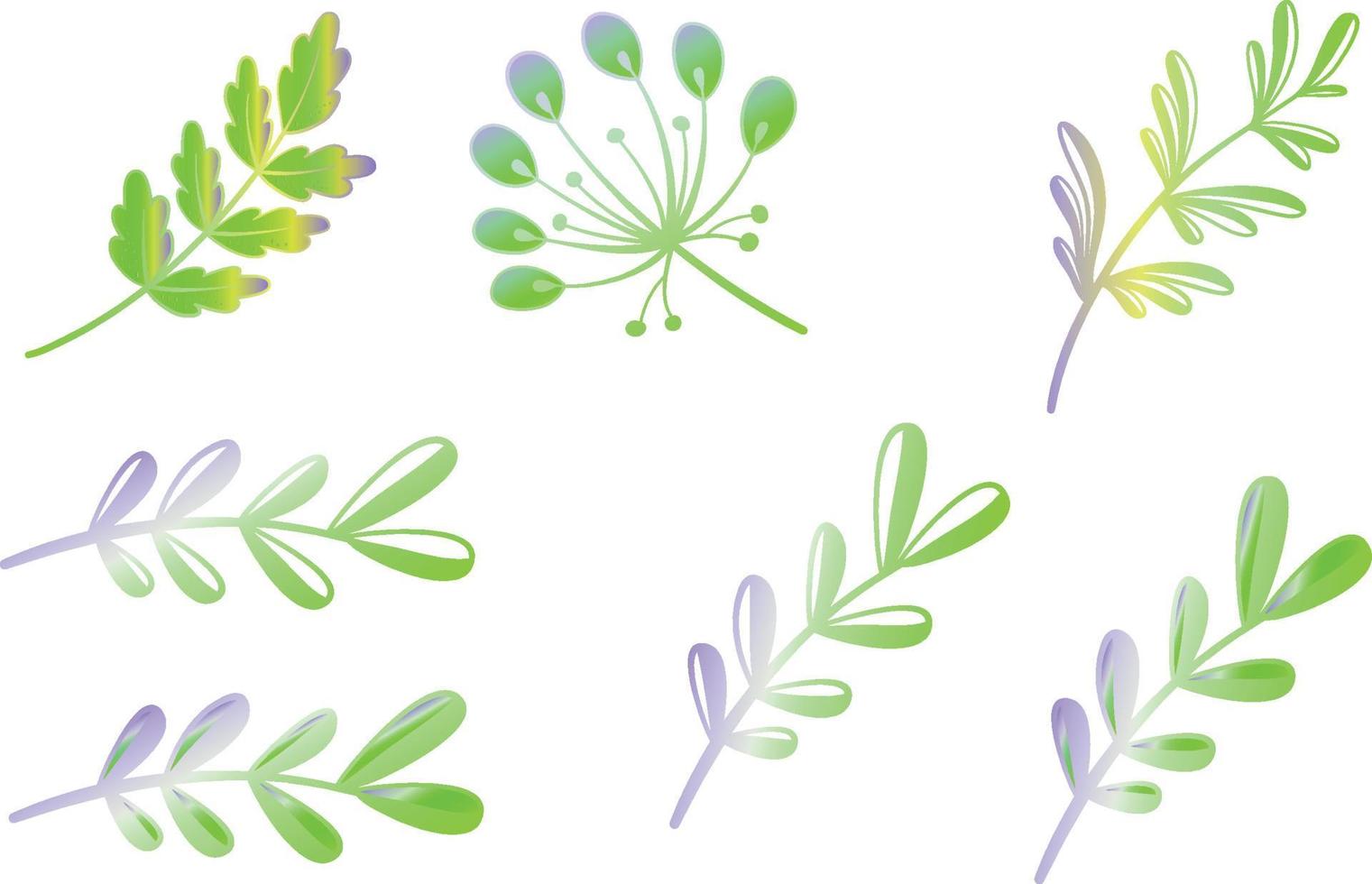 Set of watercolour floral branches vector