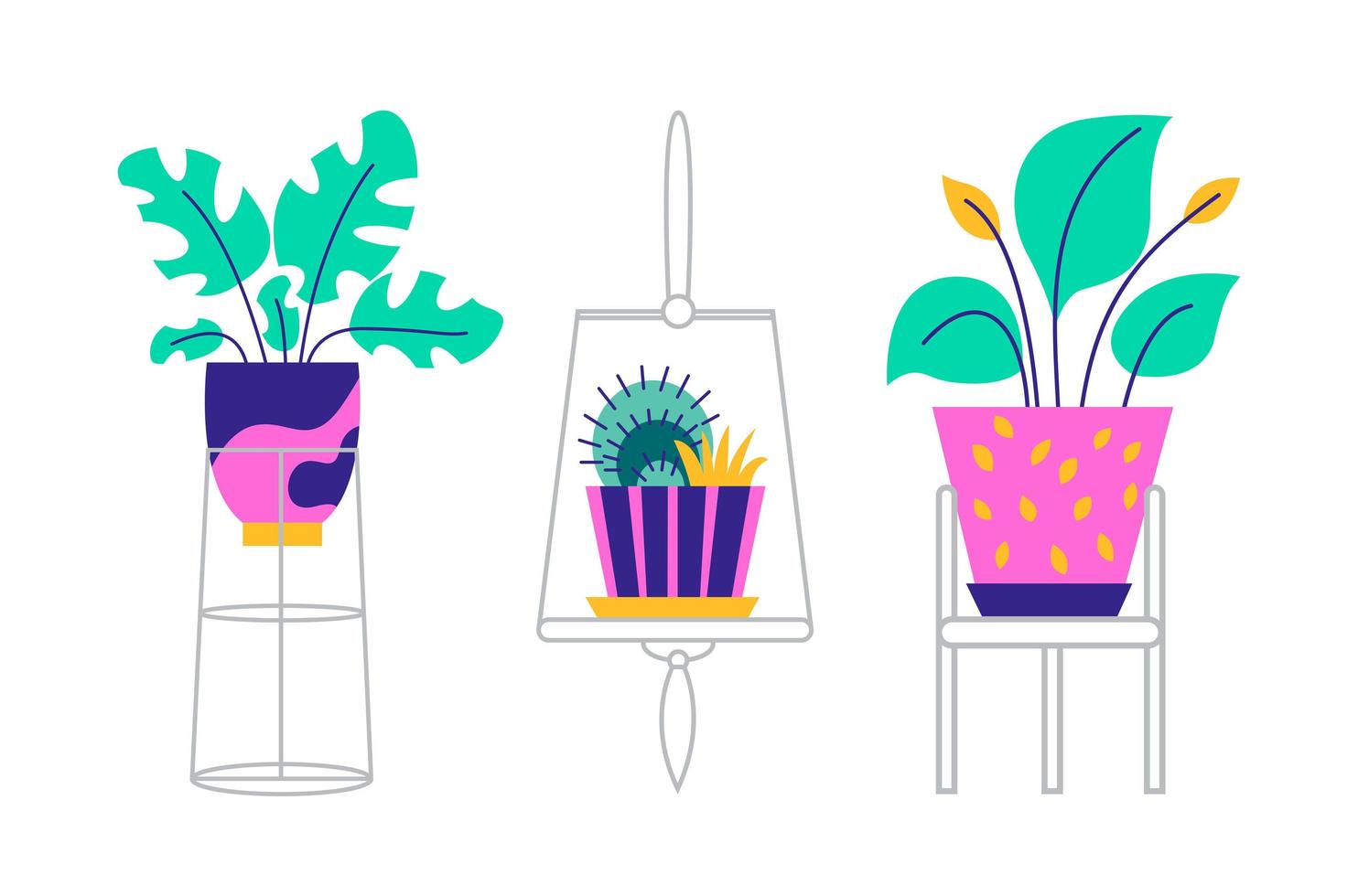 A set of trendy potted plants and flowers for the home. Various houseplants and flowers in stands isolated on white background. Monstera, cactus, strelitzia and oxalis. Color flat vector illustration