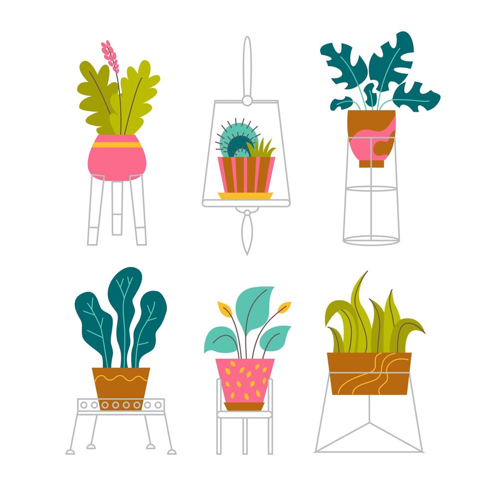 un conjunto de plantas y flores en macetas de moda para el hogar. varias plantas de interior y flores en soportes aislados sobre fondo blanco. monstera, cactus, strelitzia y oxalis. ilustración de vector plano de color