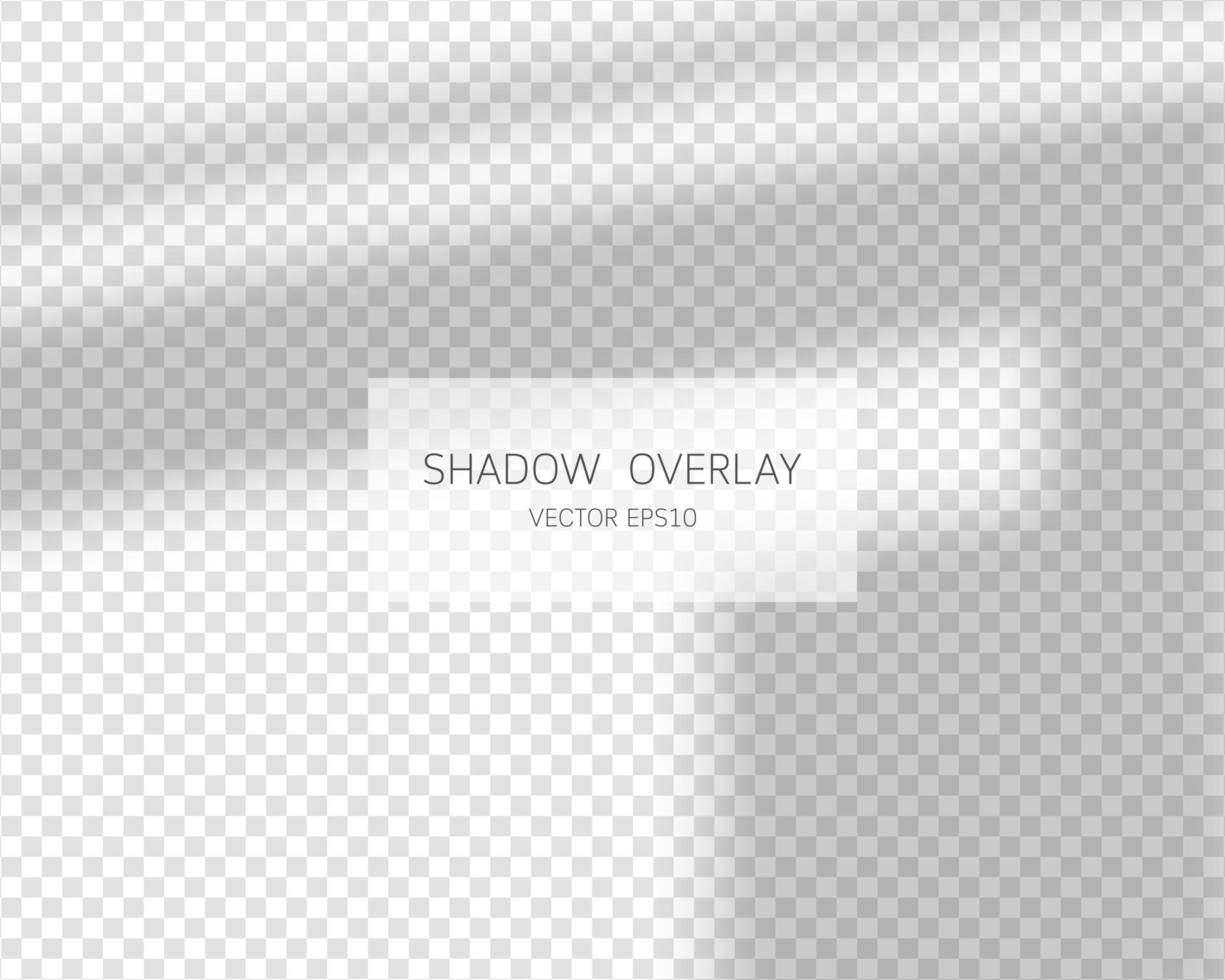 Shadow overlay effect. Natural shadows from window isolated on transparent background. Vector illustration.