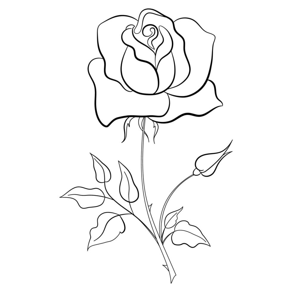 ilustración lineal de una flor rosa dibujada sobre un fondo blanco. vector