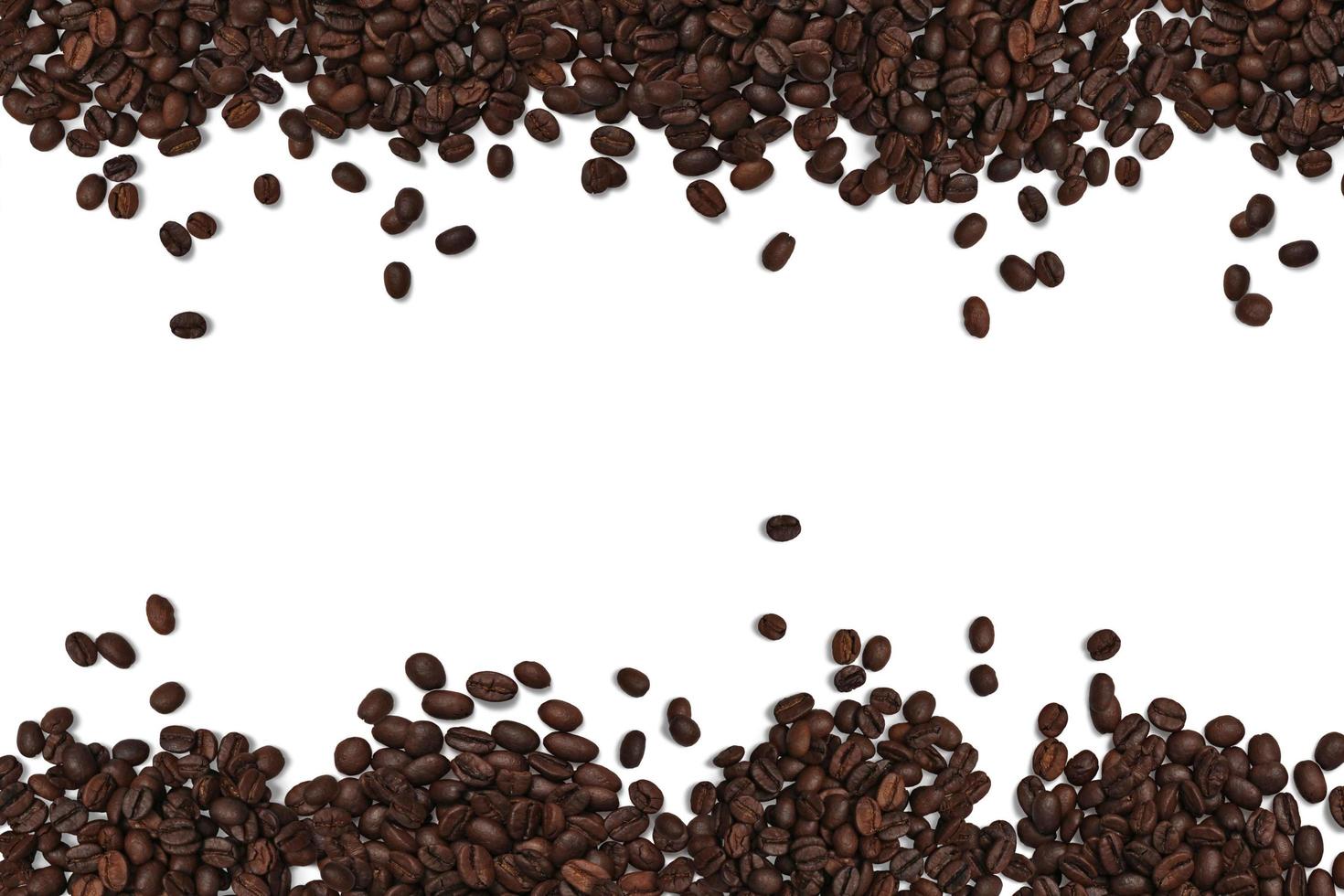 coffee bean for barista photo