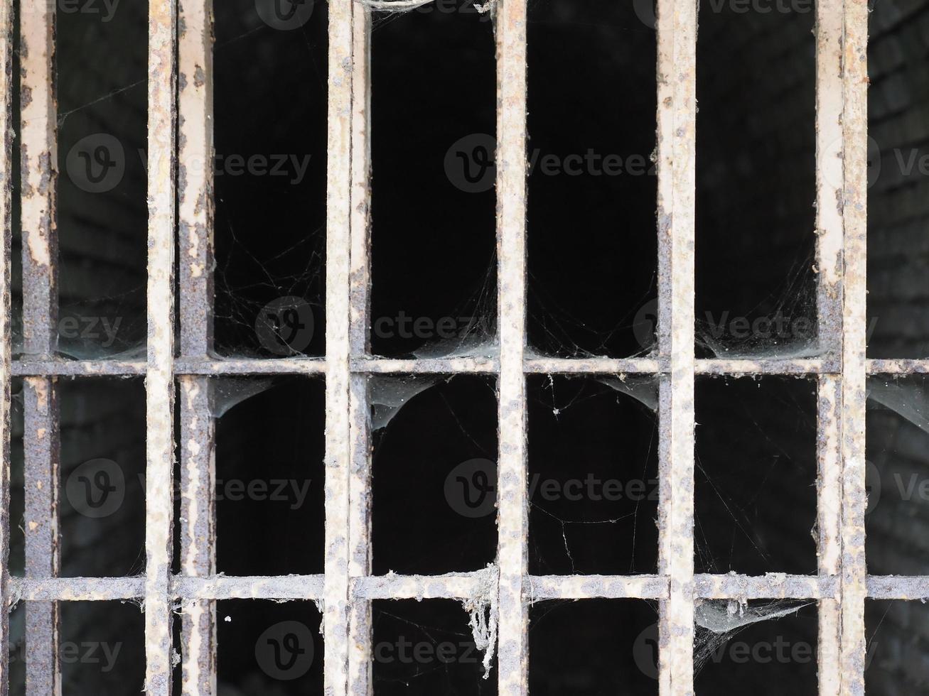 window grille with cobweb photo