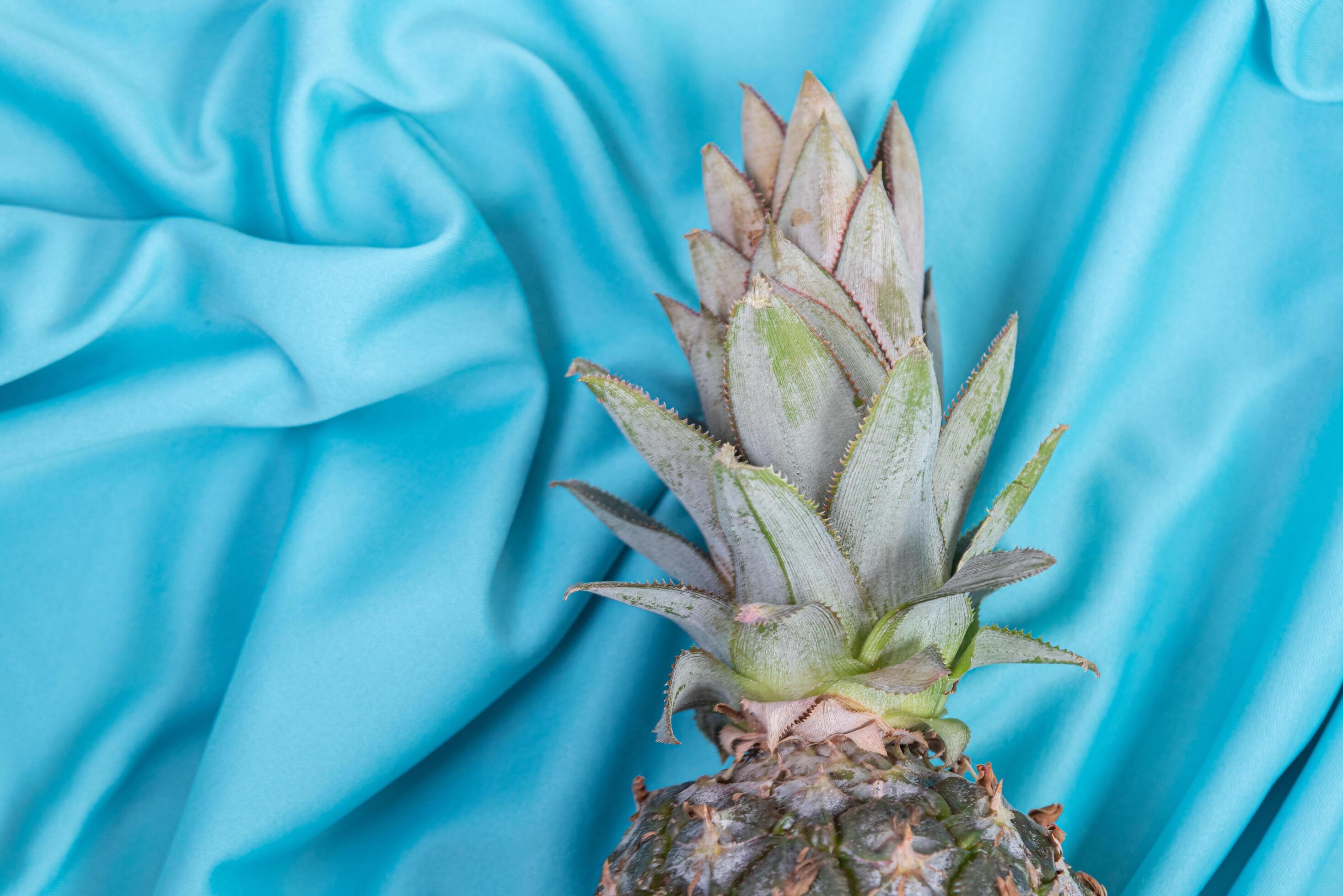 Pineapple on the blue background 6419960 Stock Photo at Vecteezy