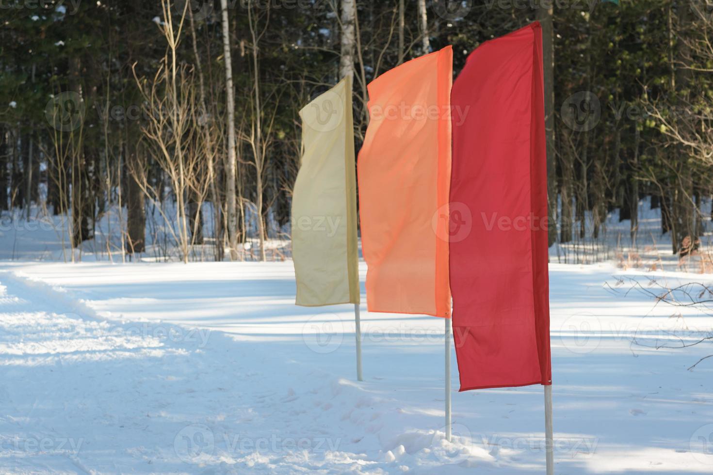 flags on a start position of ski track in a snow forest. winter sports concept. photo
