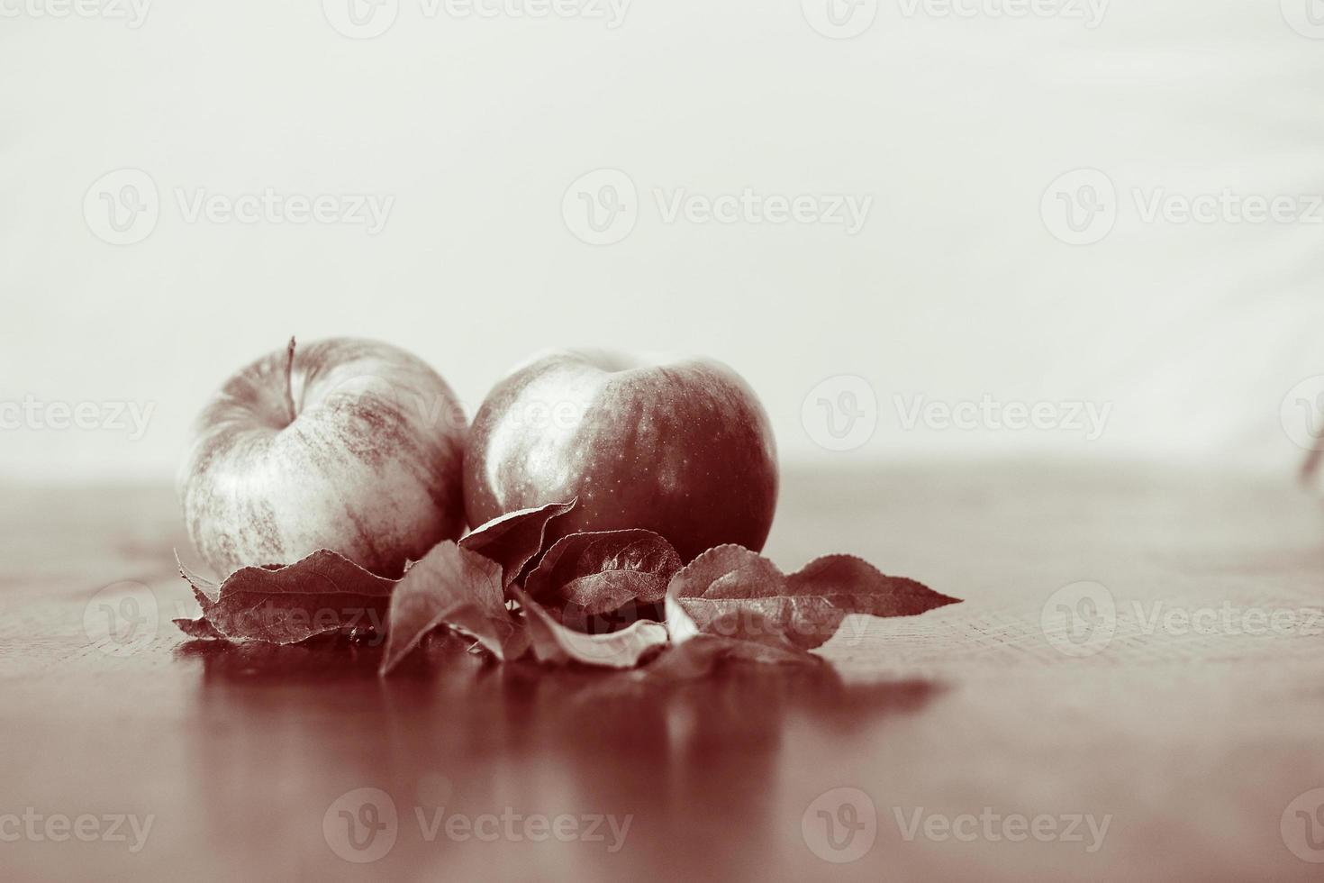 Apple close up with B-W color. Apple fruit in black and white.Ecological style and organic food concept. photo