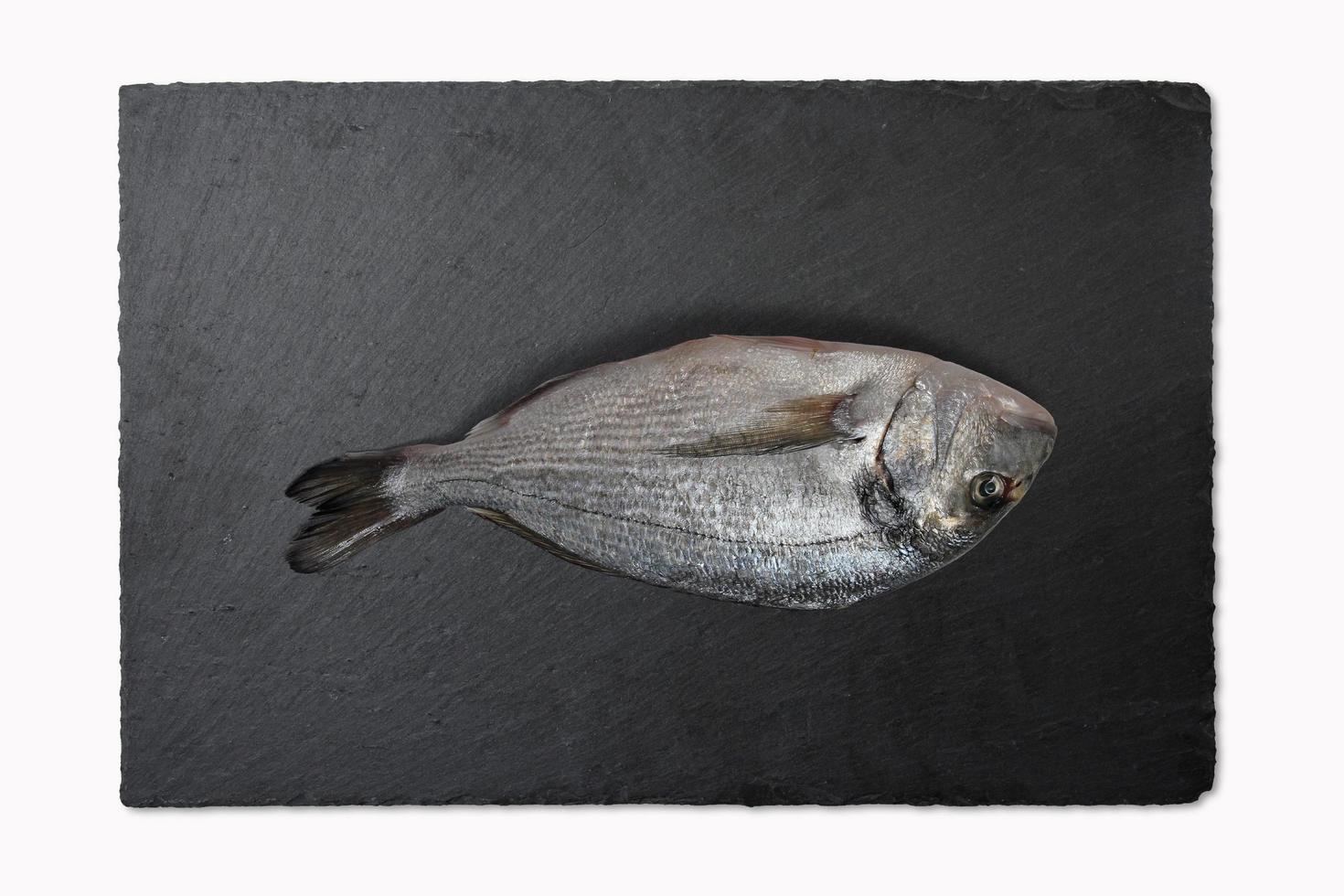 fish meat pieces for cooking photo