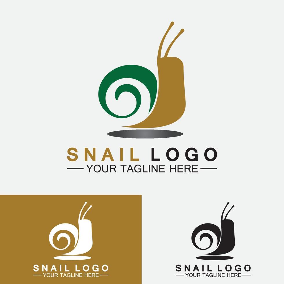 Snail logo template vector icon illustration design