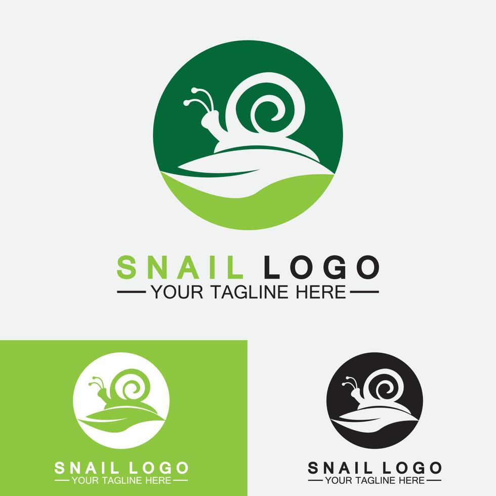 vector de inspiración de diseño moderno creativo de caracol logo