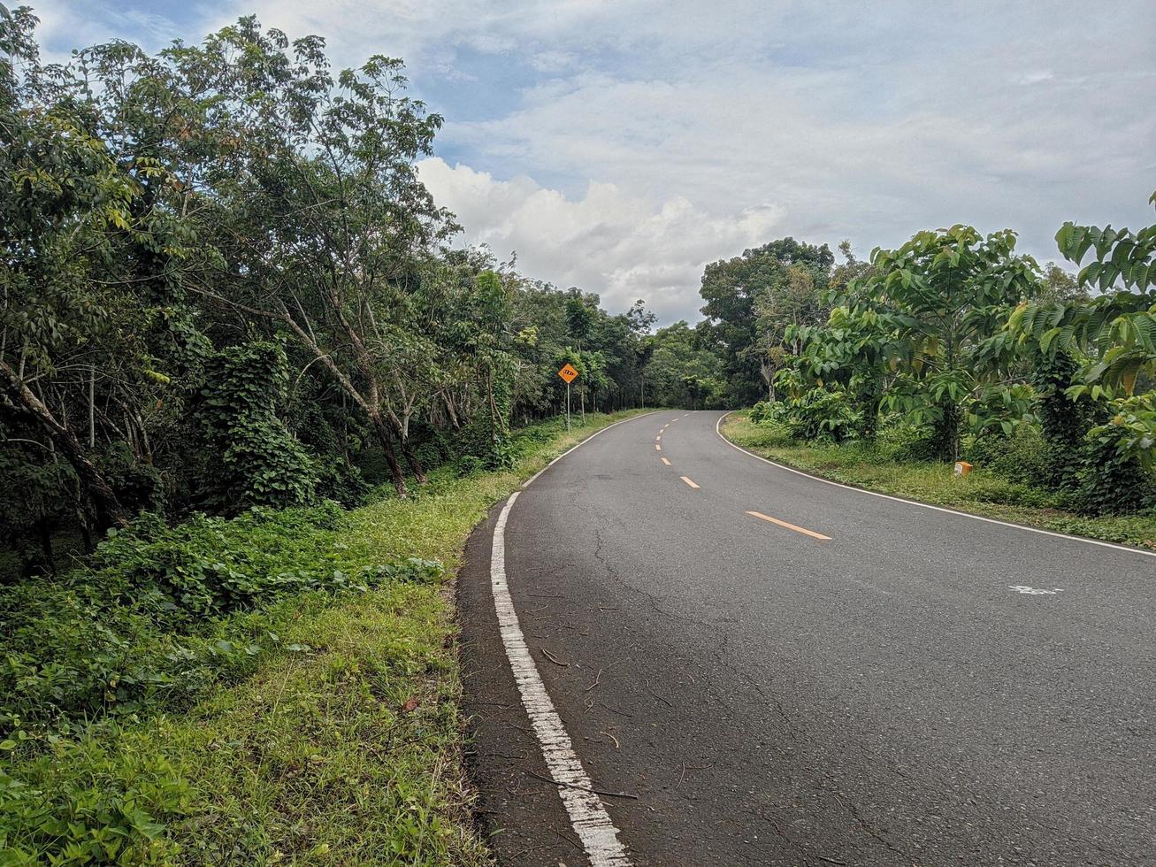 March 1, 2022, West Java, Indonesia. Highway in the middle of teak plantations. photo