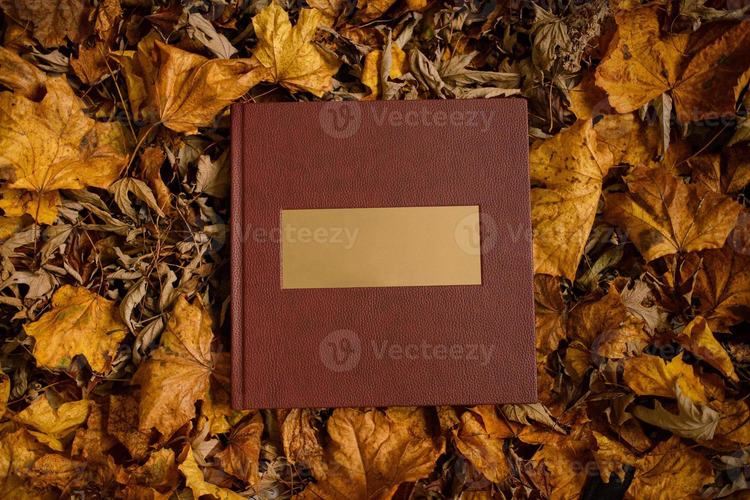 Leather brown book with a gold nameplate on a background of brown leaves. Place for text.  Wedding photo book.