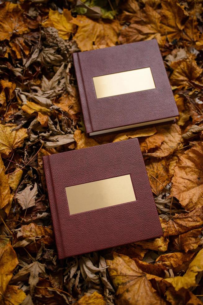 Leather brown book with a gold nameplate on a background of brown leaves. Place for text.  Wedding photo book.