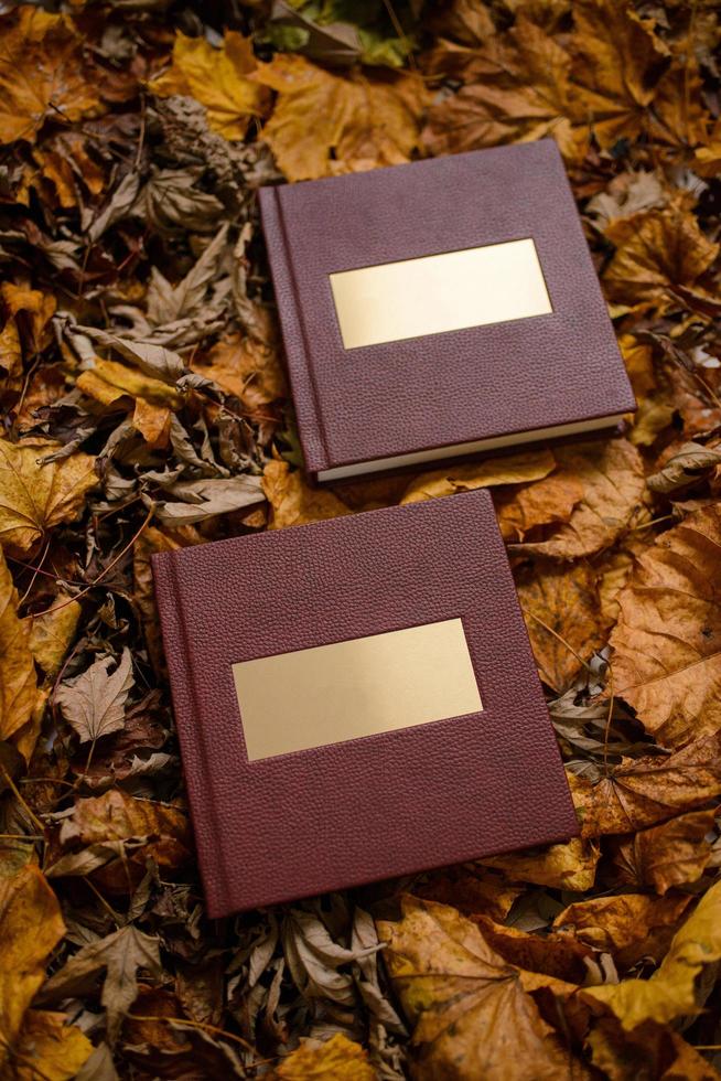Leather brown book with a gold nameplate on a background of brown leaves. Place for text.  Wedding photo book.