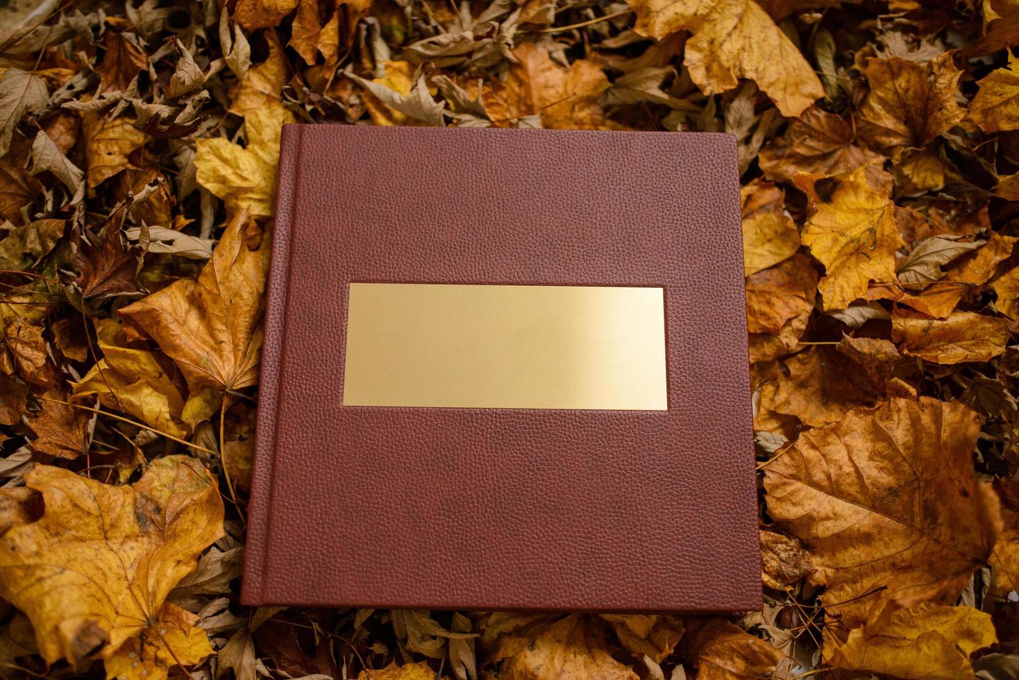 Leather brown book with a gold nameplate on a background of brown leaves. Place for text.  Wedding photo book.