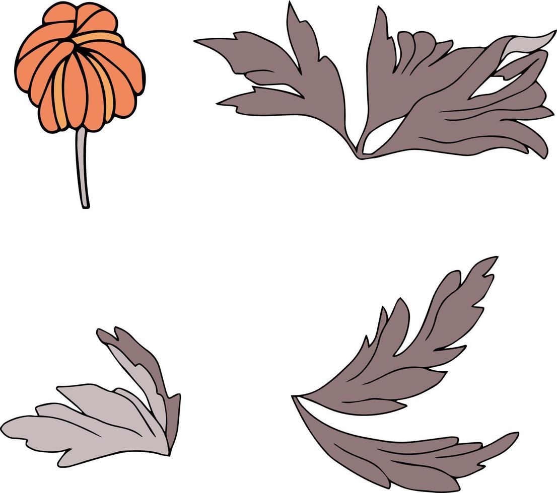 vector set of poppy flowers with leaves. Botanical illustration for wallpaper, textile, fabric, clothing, paper, postcards