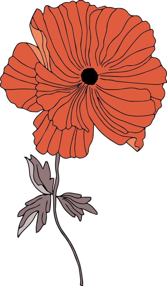 vector patterns of poppy flowers with leaves. Botanical illustration ...