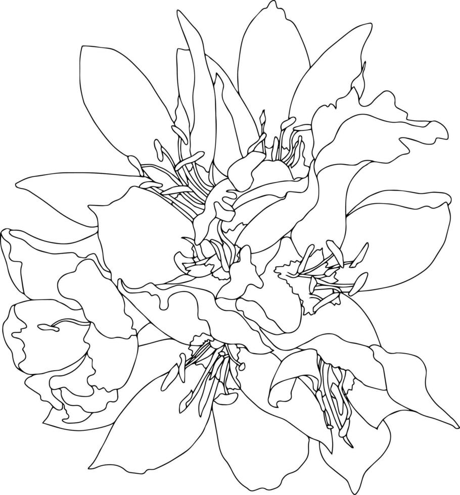 vector patterns bouquet flowers with leaves. Botanical illustration for wallpaper, textile, fabric, clothing, paper, postcards