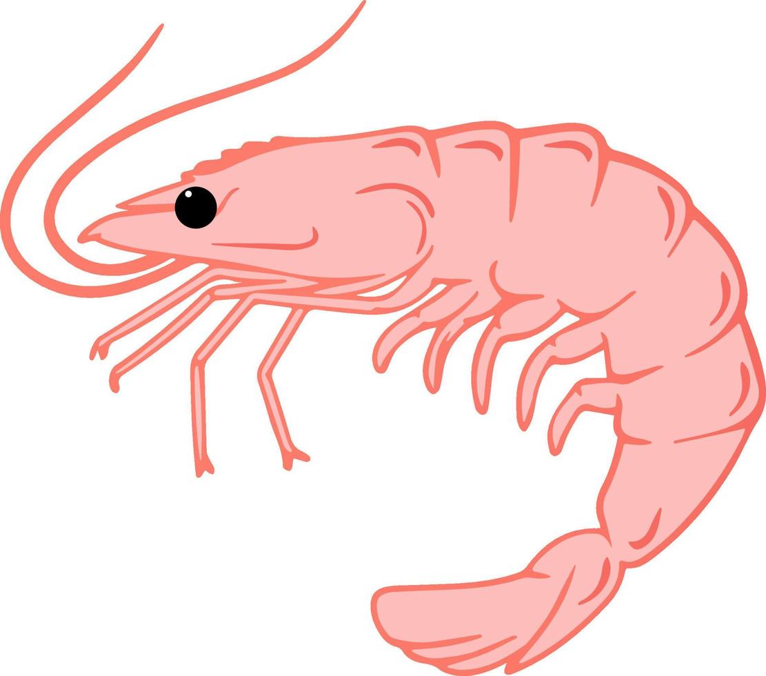 Pink Prawn pattern. hand drawn vector pattern design. Seafood concept. Mediterranean food pattern. Seafood texture design for web banner and print.