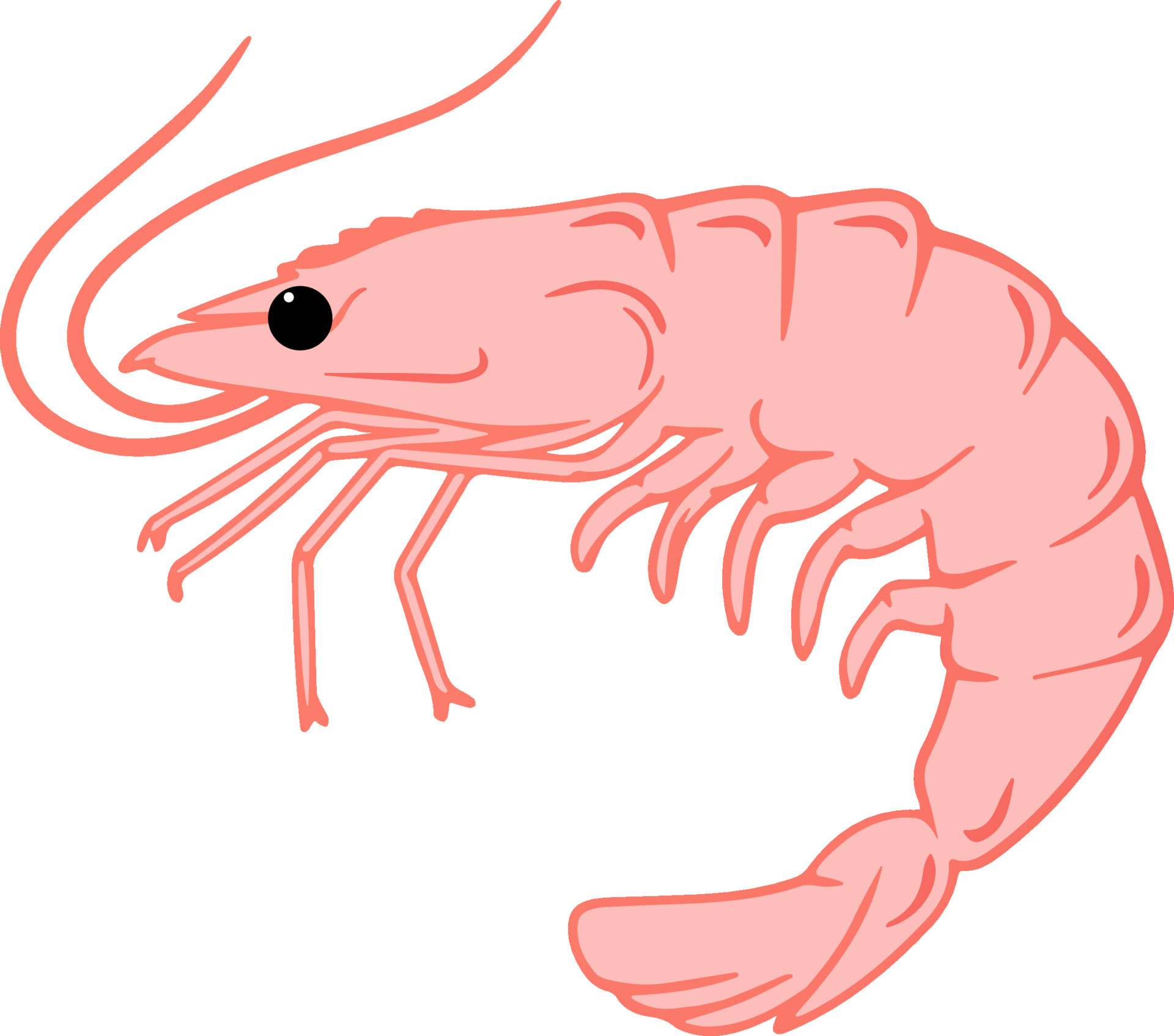 gamba