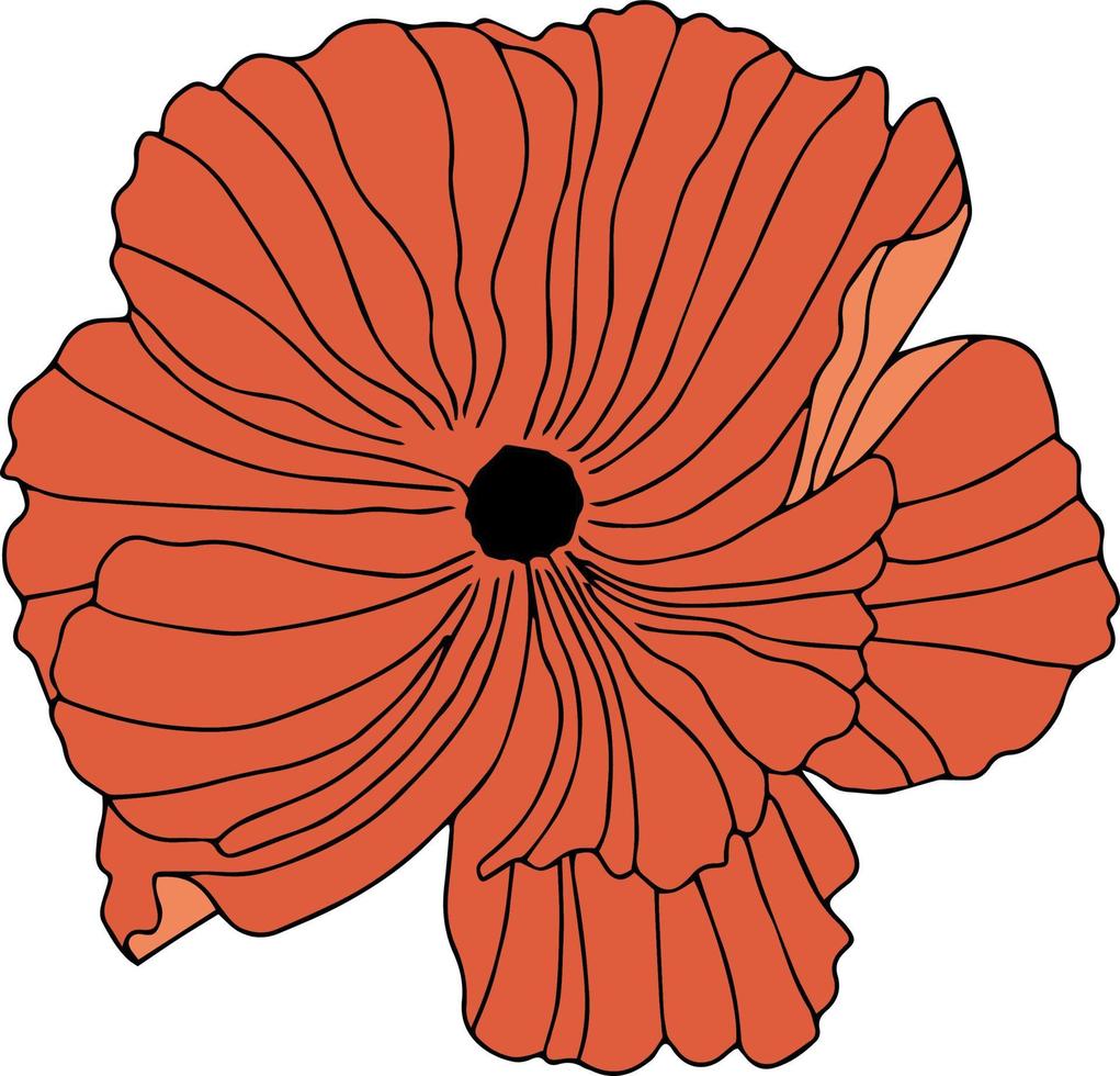 patrones vectoriales de flores de amapola con hojas. ilustración botánica para papel tapiz, textil, tela, ropa, papel, postales vector
