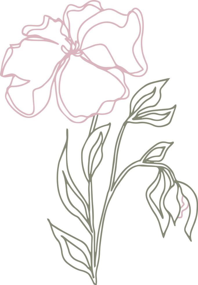 vector  pattern flowers with leaves. Botanical illustration for wallpaper, textile, fabric, clothing, paper, postcards