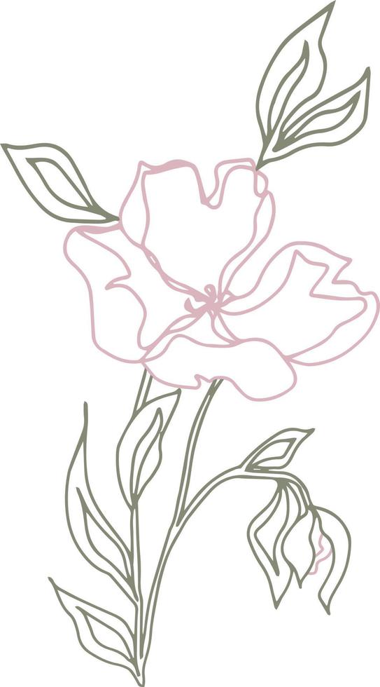 flores de patrón vectorial con hojas. ilustración botánica para papel tapiz, textil, tela, ropa, papel, postales vector
