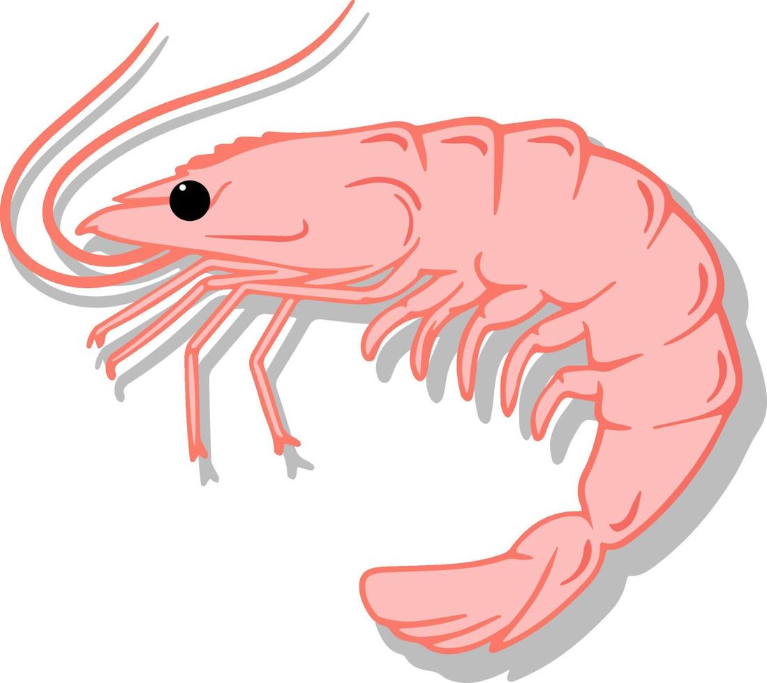 Pink Prawn pattern. hand drawn vector pattern design. Seafood concept. Mediterranean food pattern. Seafood texture design for web banner and print.