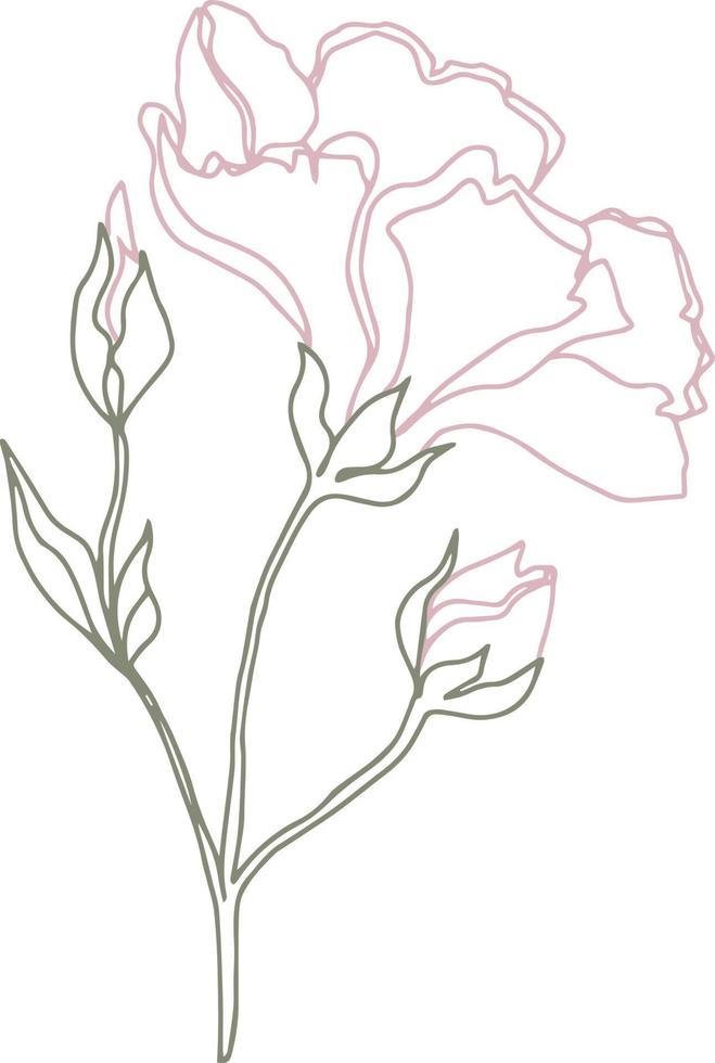 flores de patrón vectorial con hojas. ilustración botánica para papel tapiz, textil, tela, ropa, papel, postales vector