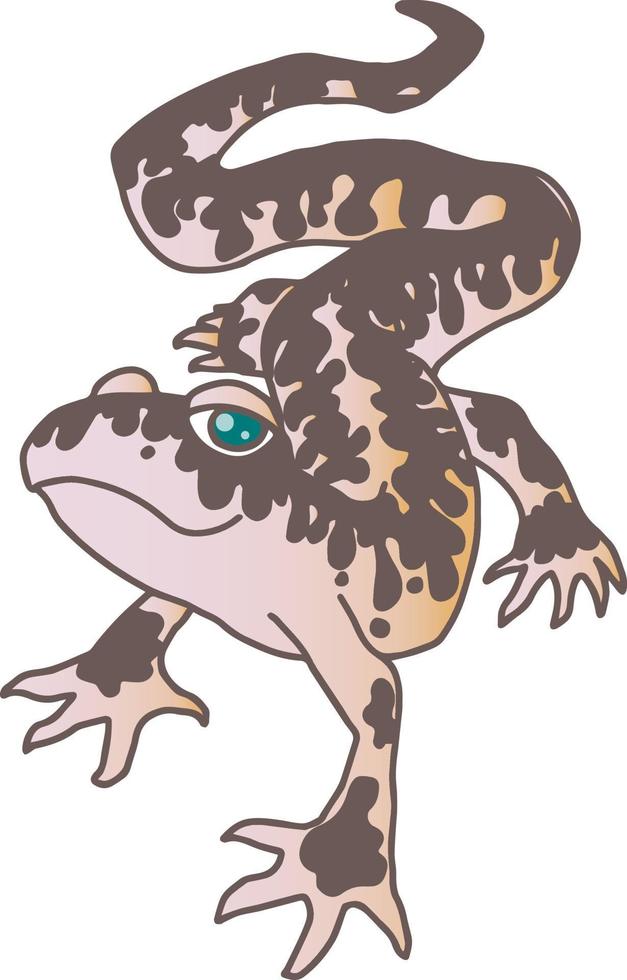 lizard gecko leopard vector isolated hand drawing