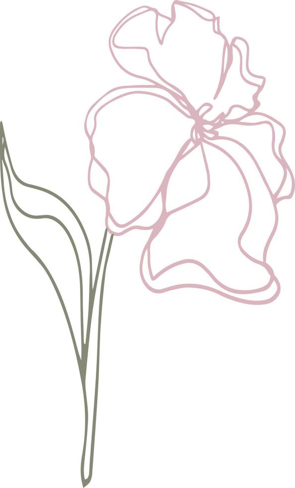 vector  pattern flowers with leaves. Botanical illustration for wallpaper, textile, fabric, clothing, paper, postcards
