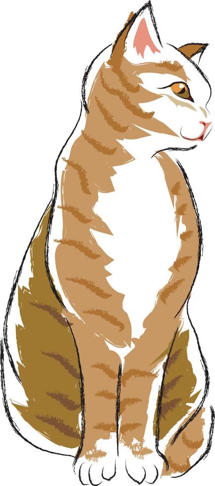 Cute sitting cat, vector colorful illustration