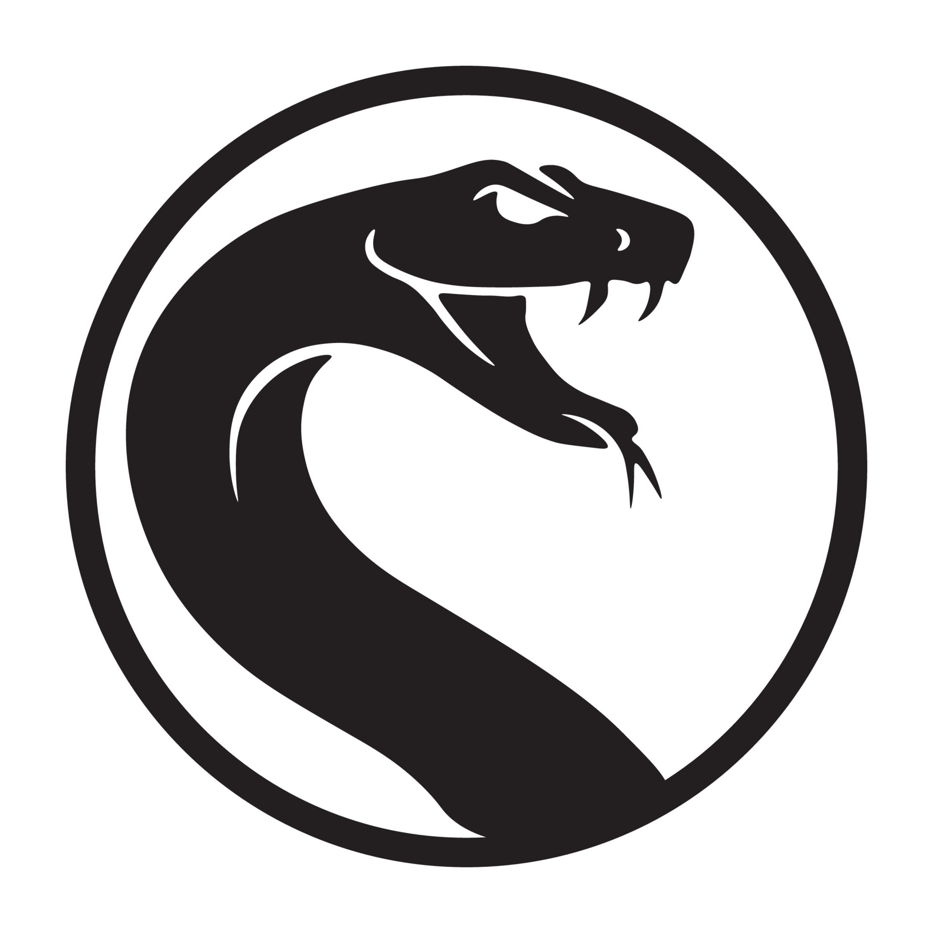 Snake Head Picture