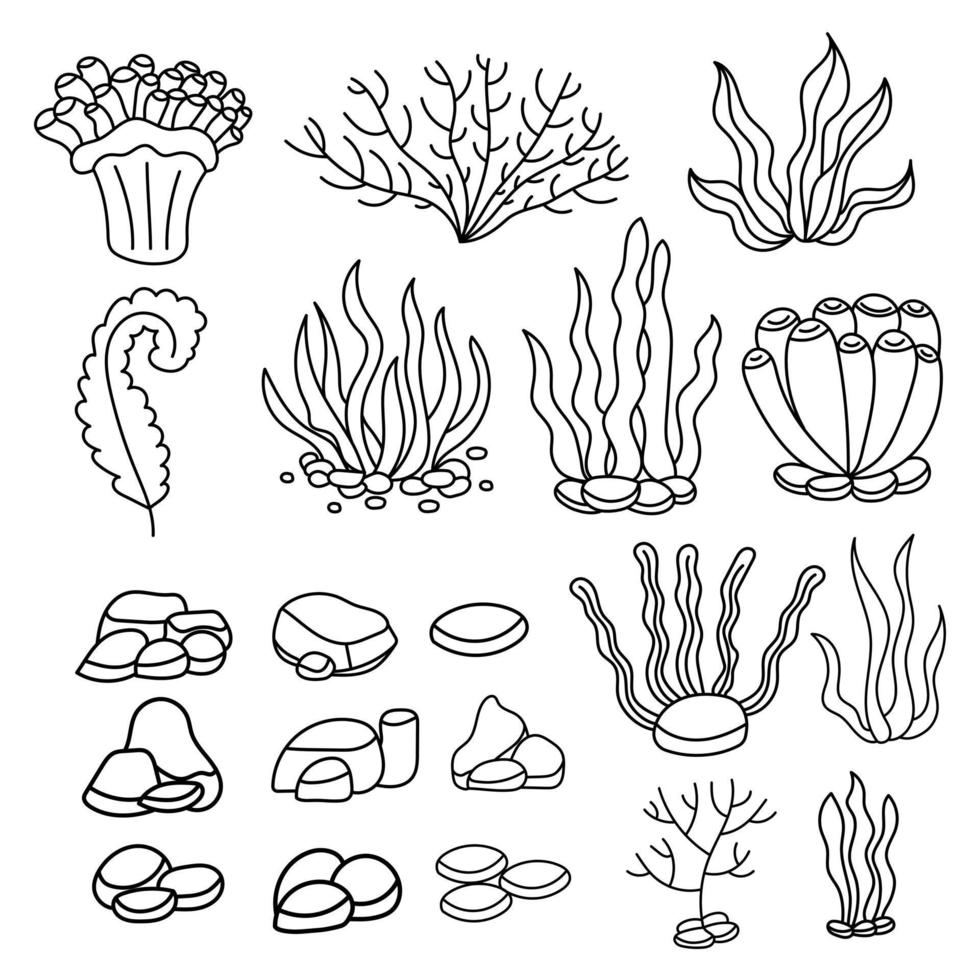 corals and seaweeds in hand drawn, doodle, sketch style vector set