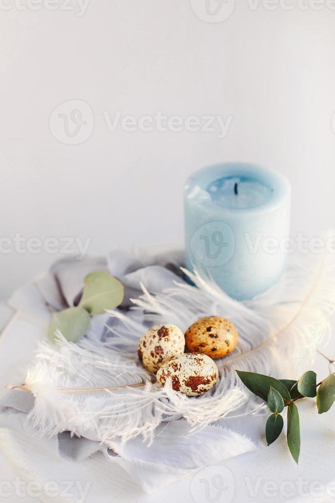 Easter eggs with white feather on white and gray background. Happy Easter holiday, front top view. photo