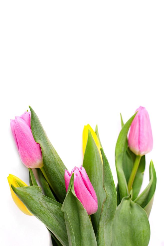 ramo de tulipanes amarillos y rosas aislado sobre fondo blanco con trazado de recorte. fondo del día de san valentín y del día de la madre. foto