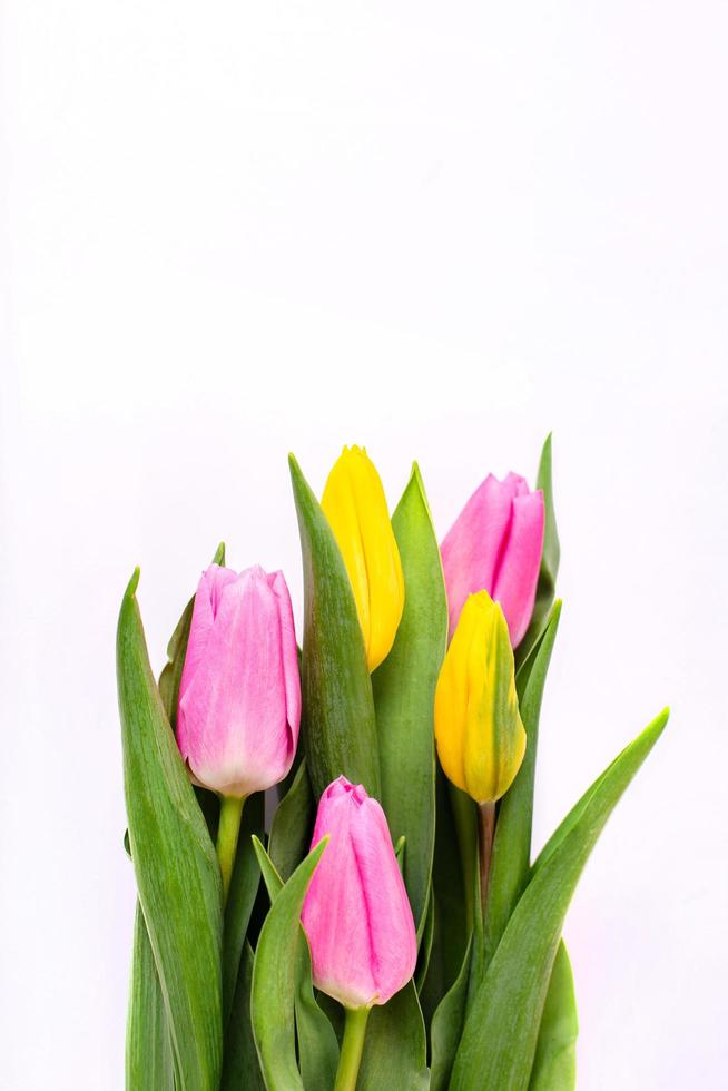 ramo de tulipanes amarillos y rosas aislado sobre fondo blanco con trazado de recorte. fondo del día de san valentín y del día de la madre. foto