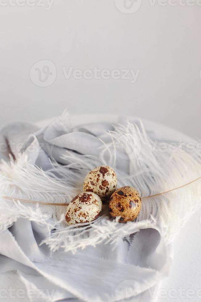 Easter eggs with white feather on white and gray background. Happy Easter holiday, front top view. photo