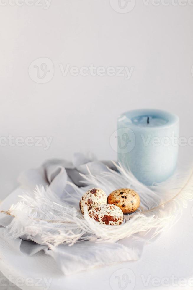 Easter eggs with white feather on white and gray background. Happy Easter holiday, front top view. photo