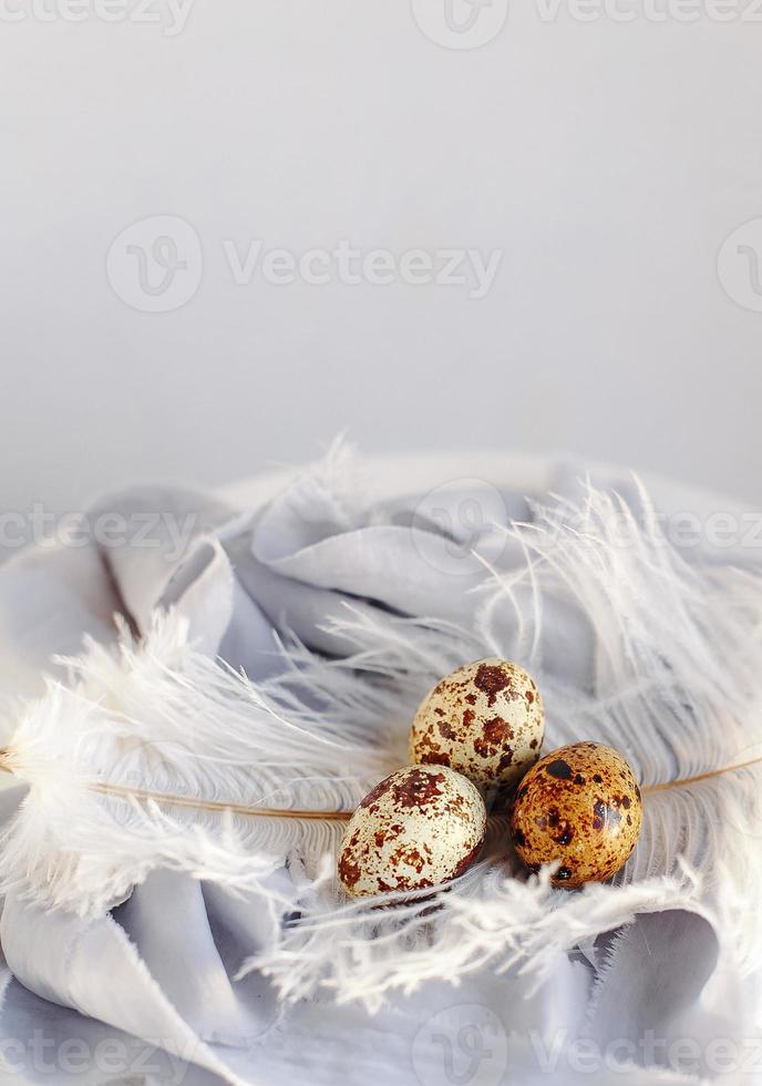 Easter eggs with white feather on white and gray background. Happy Easter holiday, front top view. photo