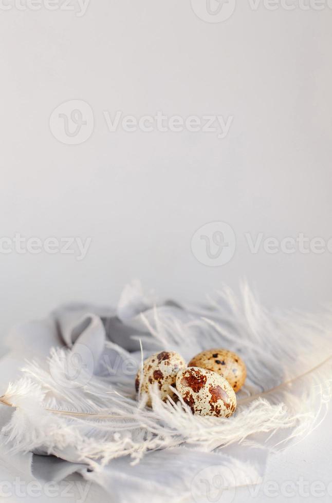 Easter eggs with white feather on white and gray background. Happy Easter holiday, front top view. photo