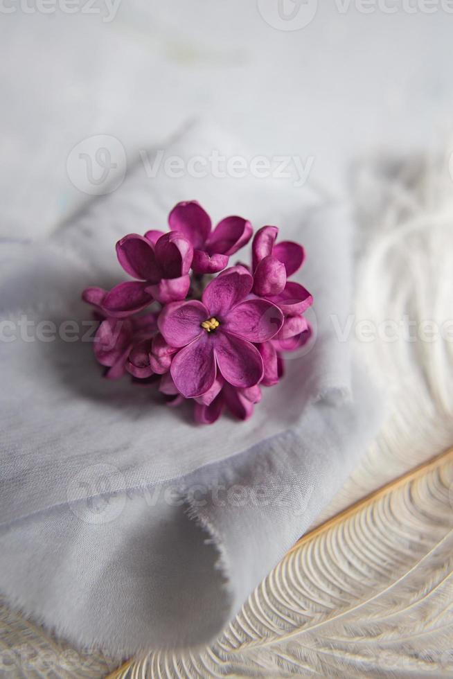 flores violetas lilas sobre una pluma de avestruz blanca. la magia de las flores lilas de cinco pétalos. foto