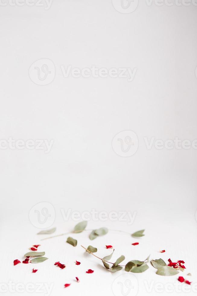 Red and green petals on white stand. Copyspace. photo