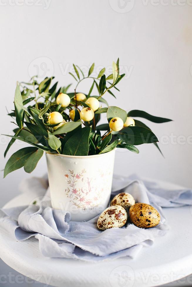 Easter eggs with green branches and yellow berries on white and gray background. Easter holiday, front view photo