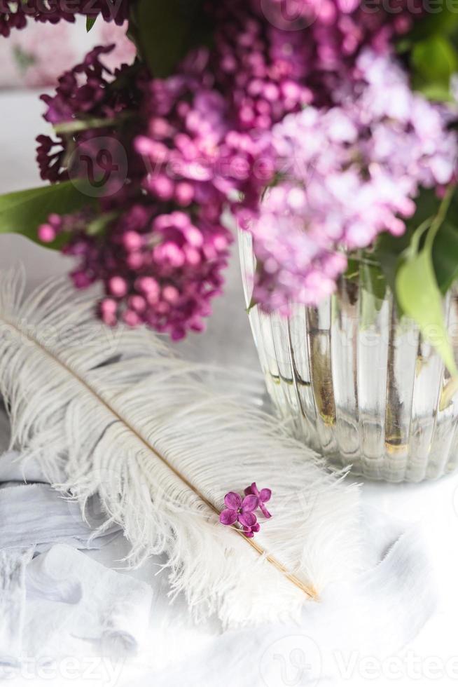 flores violetas lilas sobre una pluma de avestruz blanca. una suerte lila - flor con cinco pétalos entre las flores de cuatro puntas de syringa lila rosa brillante la magia de las flores lilas con cinco pétalos. foto