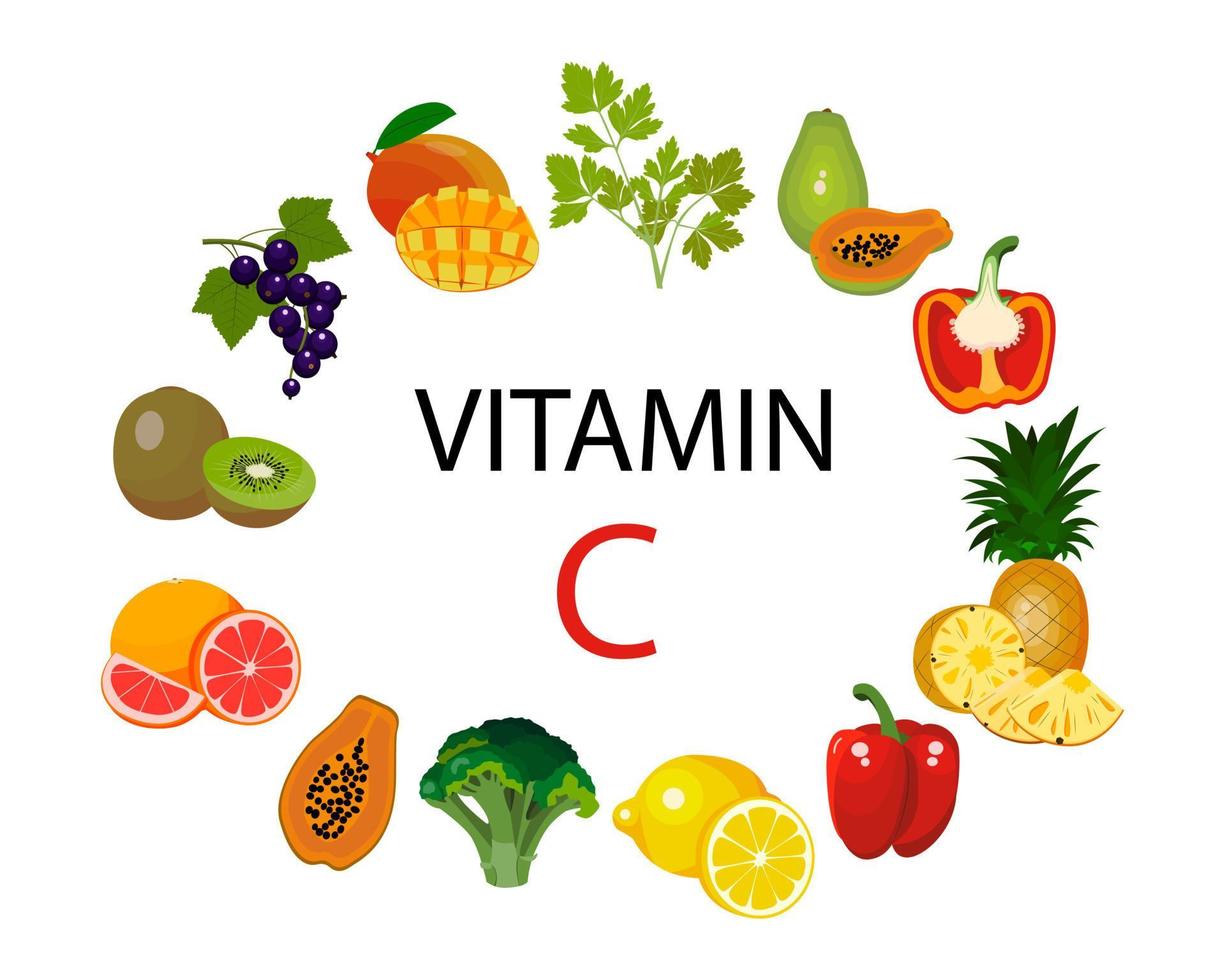 a set of sources of vitamin C. Fruits and vegetables enriched with ascorbic acid. Dietary nutrition, the composition of organic food. vector